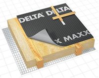 DELTA-MAXX.jpg
