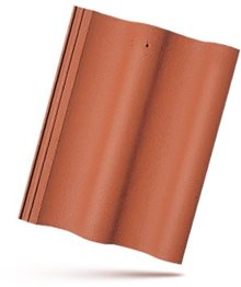 MAX-PROTECTOR-TASKA.jpg