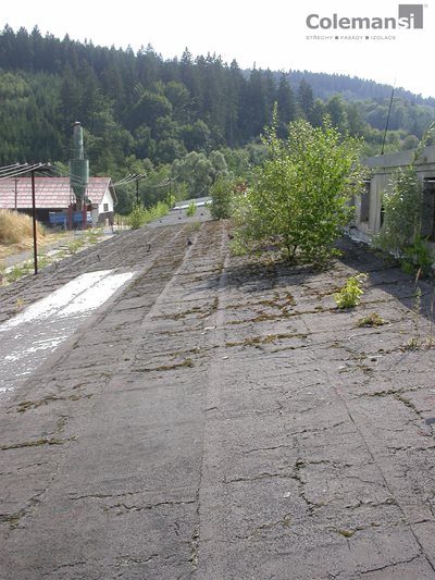nechtena-zelen-na-ploche-strese.jpg nechtena-zelen-na-ploche-strese.jpg